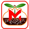 Timure Mo:Mo Logo
